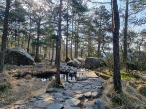 Chemin de pierre sur la randonnée de Preikestolen