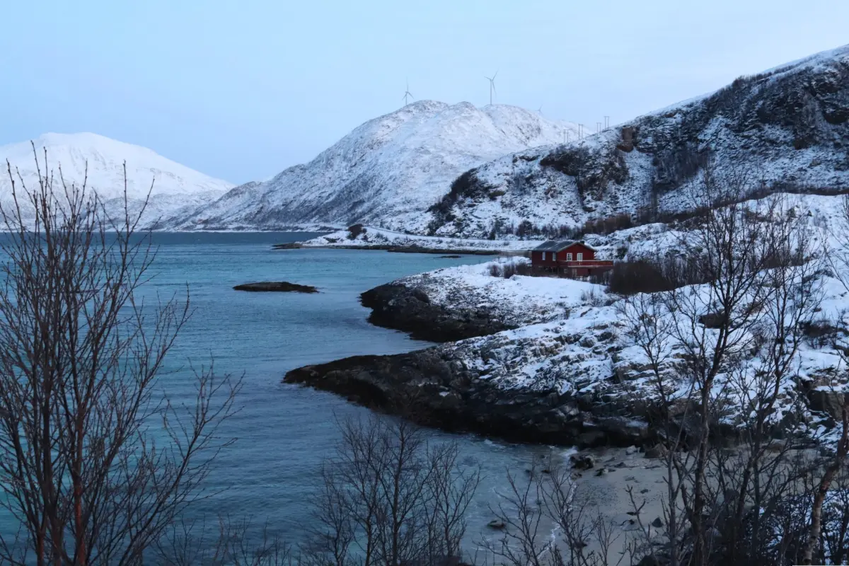 11 activités incontournables à Tromsø : Aventures et découvertes en Arctique